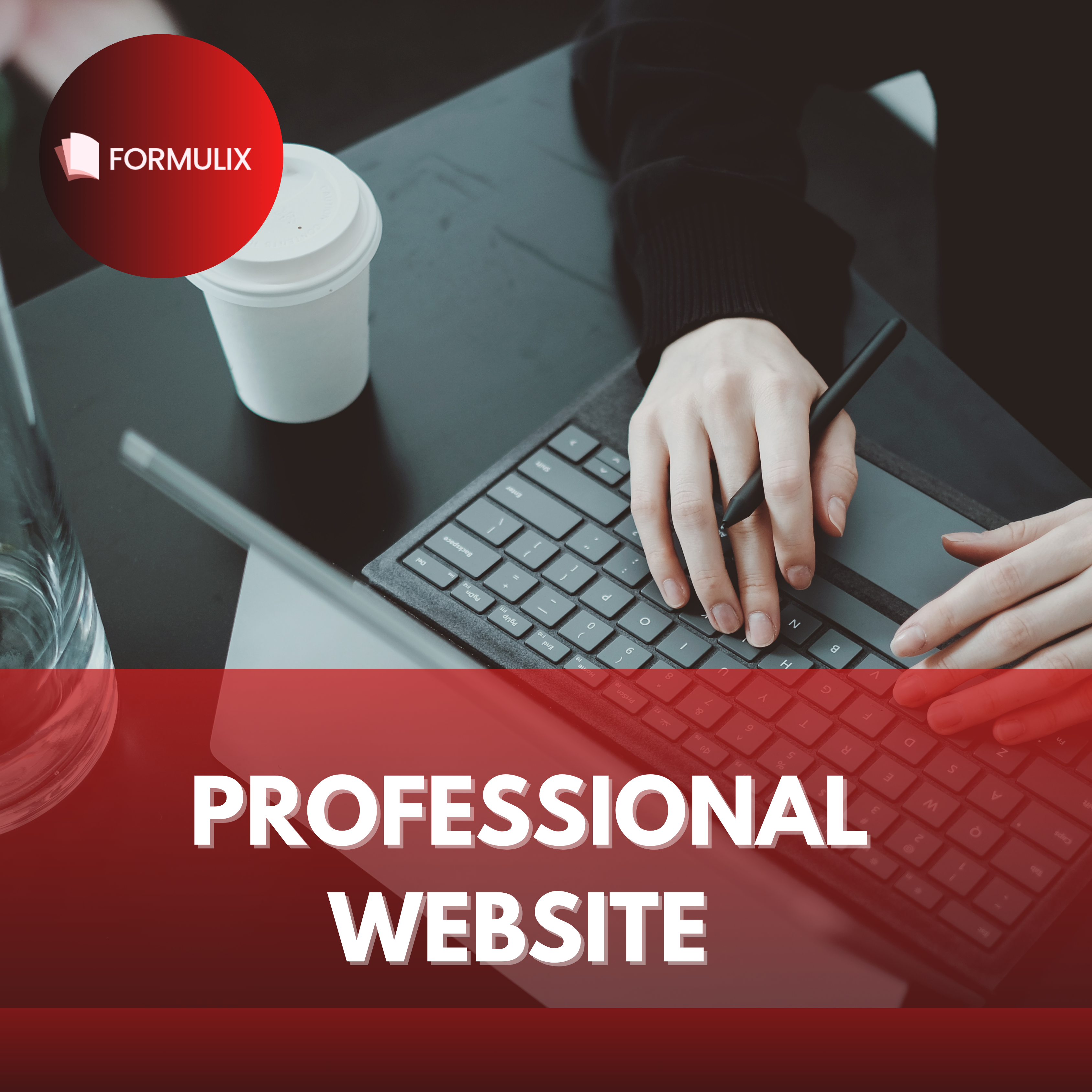 Professional WEBSITE